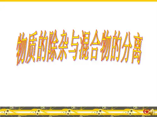中考复习专题之除杂课件(共34张PPT)