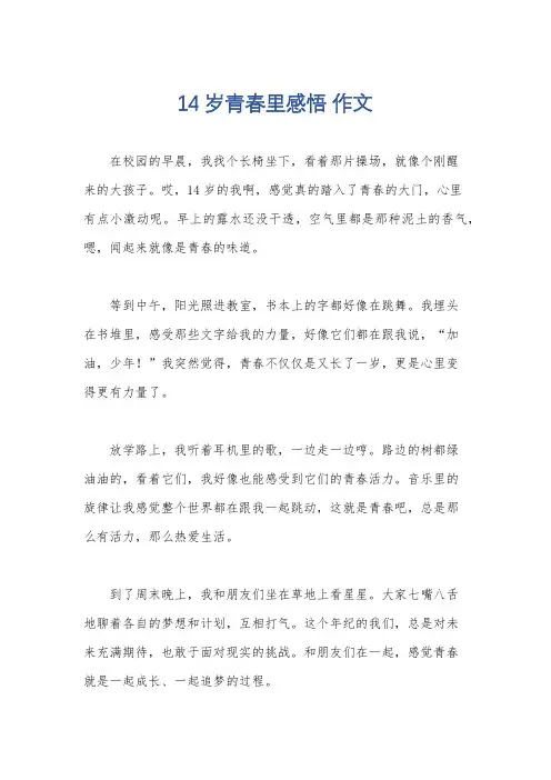 14岁青春里感悟 作文