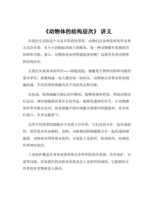 《动物体的结构层次》 讲义