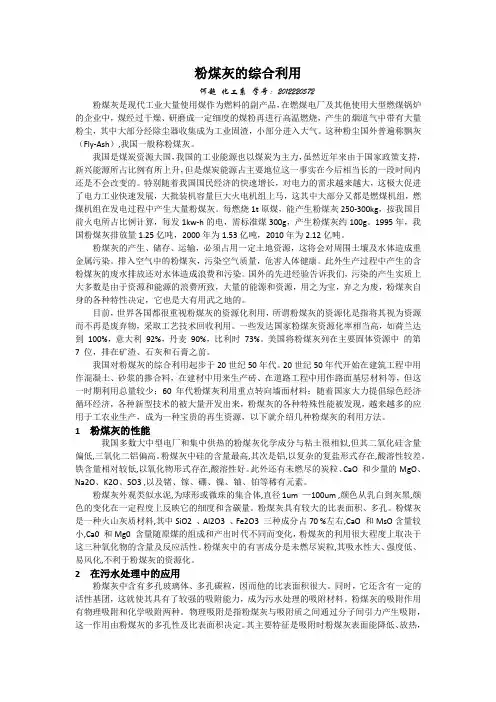 粉煤灰的综合利用