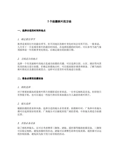 7个拍摄秋叶的方法