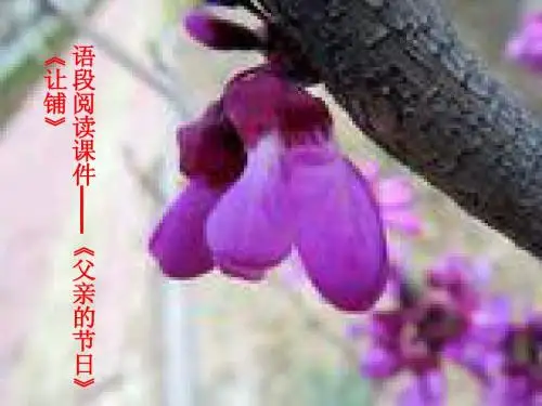 阅读课件——《父亲的节日》《让铺》