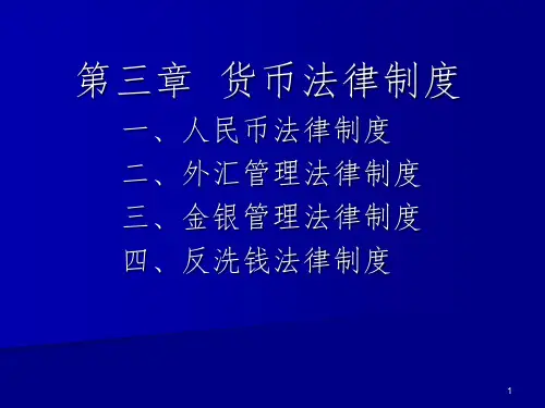 货币法律制度PPT参考幻灯片