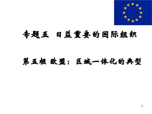 第五框欧盟区域一体化的典型PPT课件