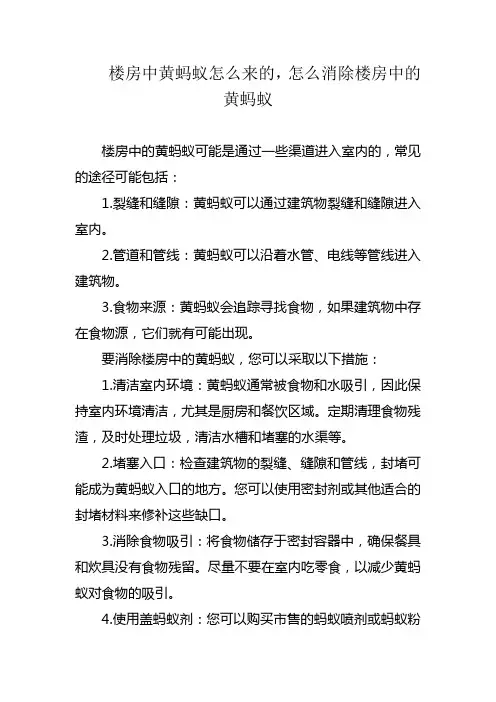 楼房中黄蚂蚁怎么来的,怎么消除楼房中的黄蚂蚁