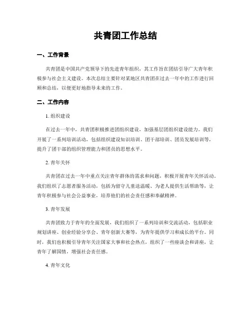 共青团工作总结