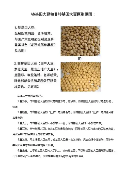 转基因与非转基因大豆区别