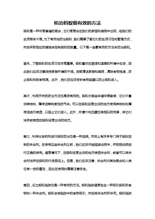 防治蚂蚁最有效的方法