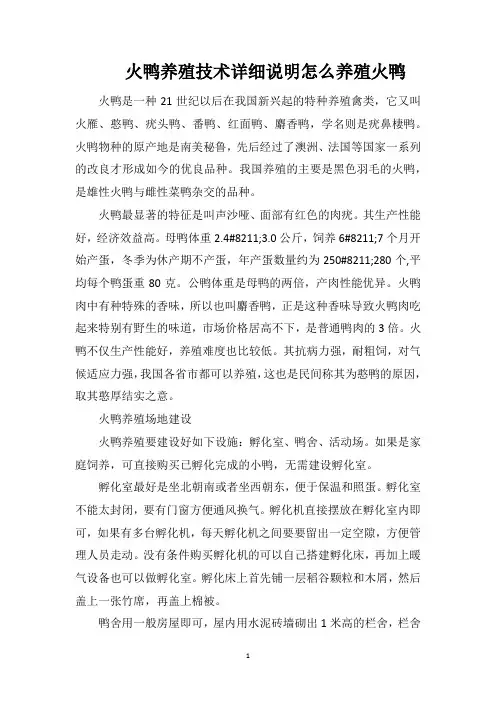火鸭养殖技术详细说明怎么养殖火鸭