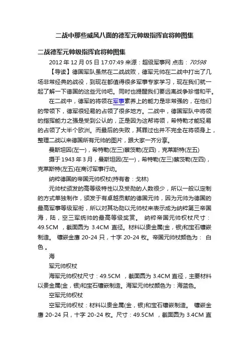 二战中那些威风八面的德军元帅级指挥官将帅图集