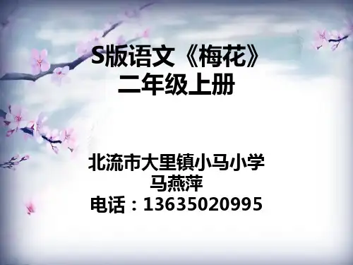 《第七单元26 古诗两首《梅花》课件》小学语文语文S版版二年级上册1313