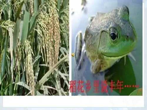 人教版地理八上第七章第1节《南方地区的自然特征与农业》 课件 (共66张PPT)