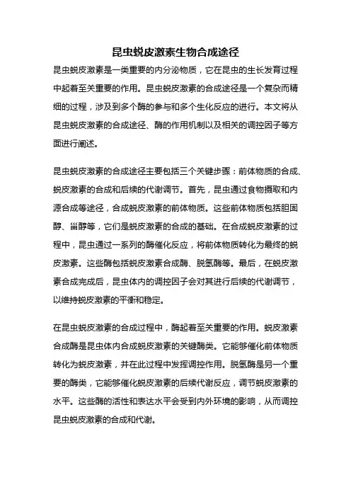 昆虫蜕皮激素生物合成途径