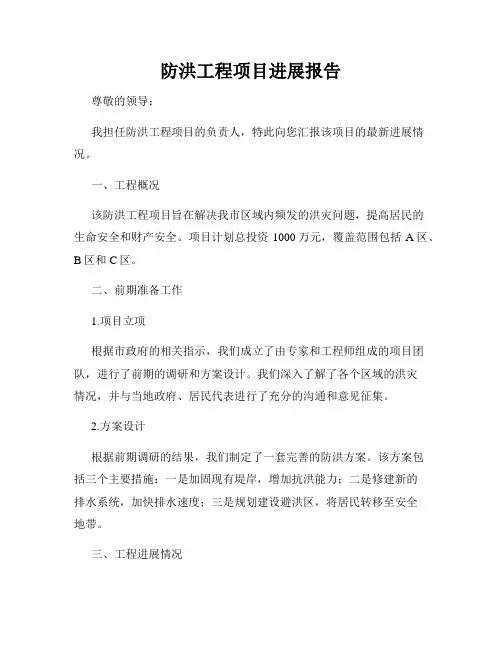 防洪工程项目进展报告