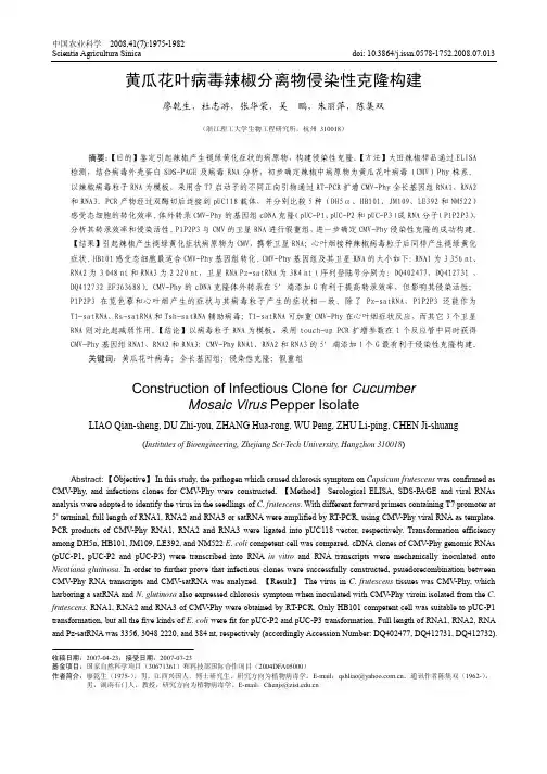 黄瓜花叶病毒辣椒分离物侵染性克隆构建