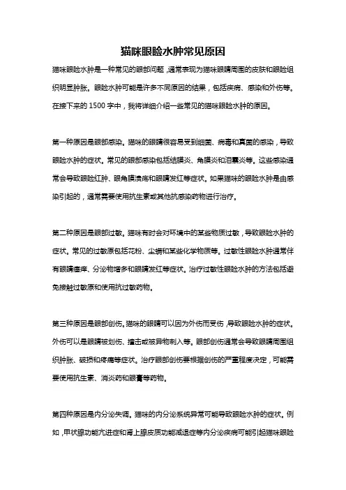 猫咪眼睑水肿常见原因