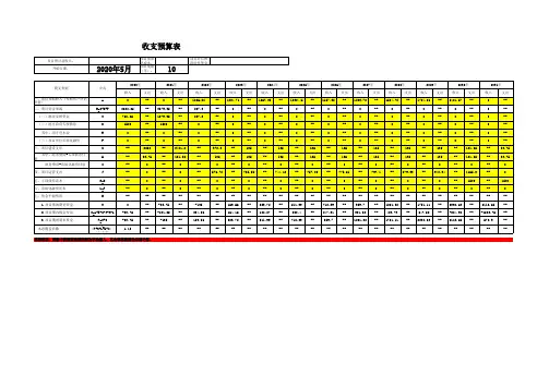 云南省专项债券实施方案收支预算表(10年期)-带公式自动计算表格