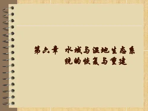 恢复生态学 第六章 水域与湿地生态系统的恢复重建