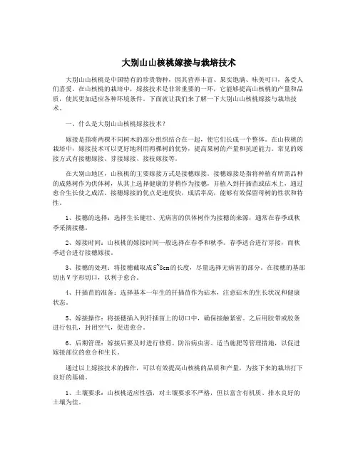 大别山山核桃嫁接与栽培技术