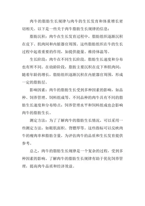 肉牛脂肪生长规律