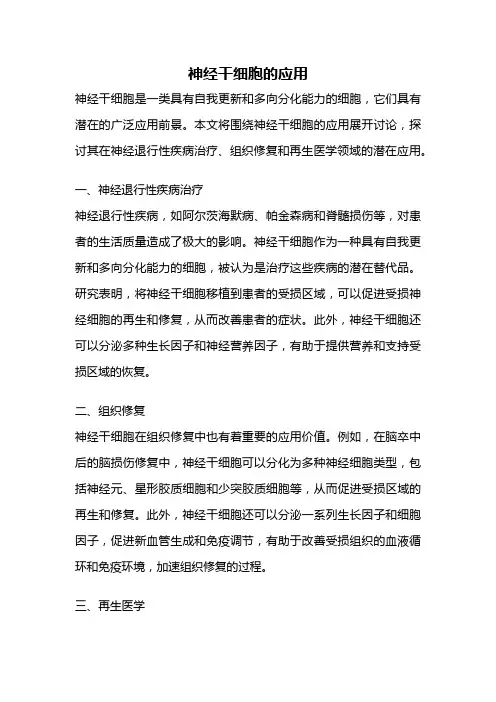 神经干细胞的应用