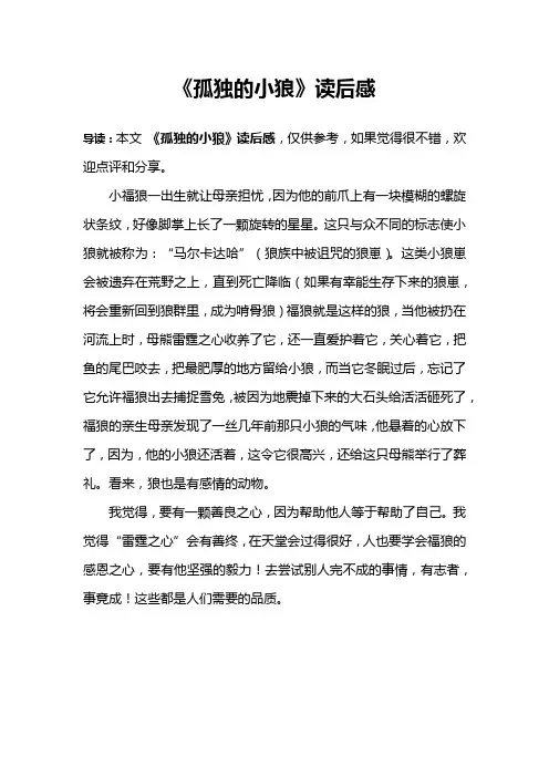 《孤独的小狼》读后感