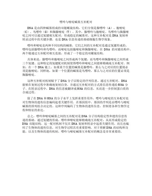 嘌呤与嘧啶碱基互补配对