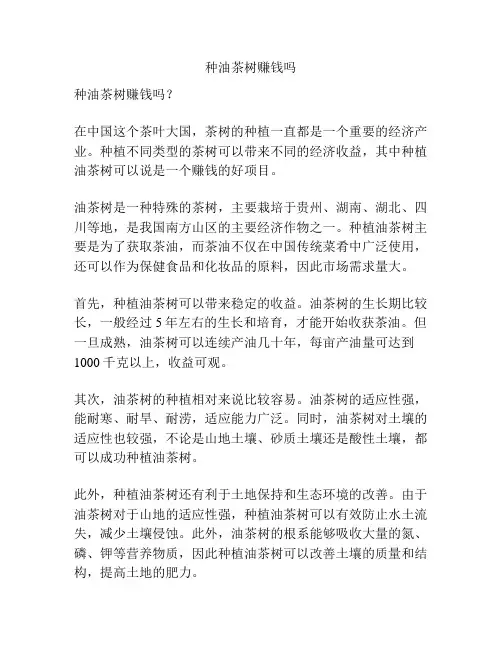 种油茶树赚钱吗