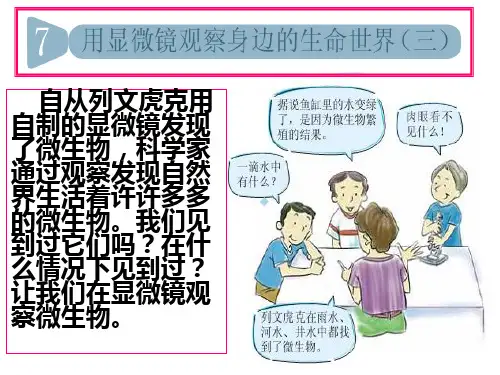 教科版科学6年级下册微小世界7用显微镜观察身边的生命世界三课件