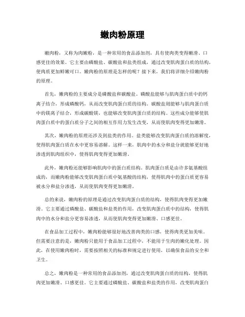 嫩肉粉原理