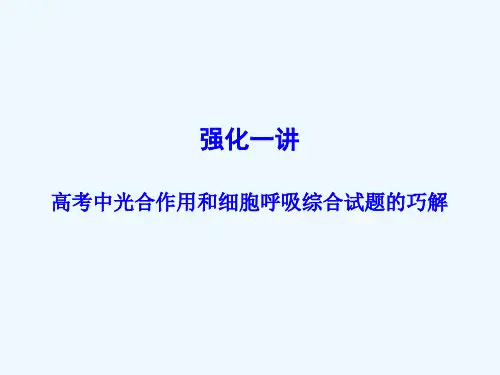 专题强化 高考中光合作用和细胞呼吸综合试题的巧解课件课件