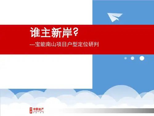 项目管理-中原深圳宝能南山项目户型定位研判107 精品