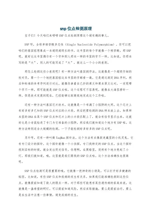snp位点检测原理