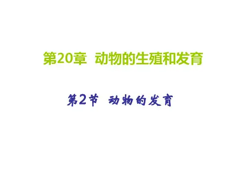 苏科2011课标版初中生物八年级上册第七单元第二十章第2节动物的发育(共15页)