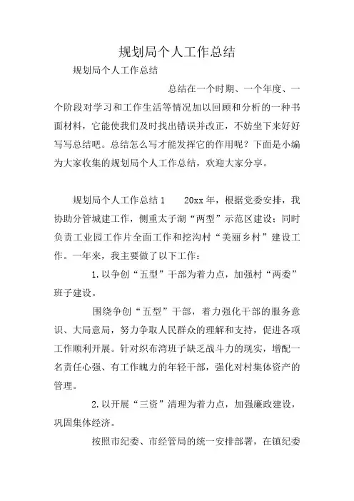 规划局个人工作总结