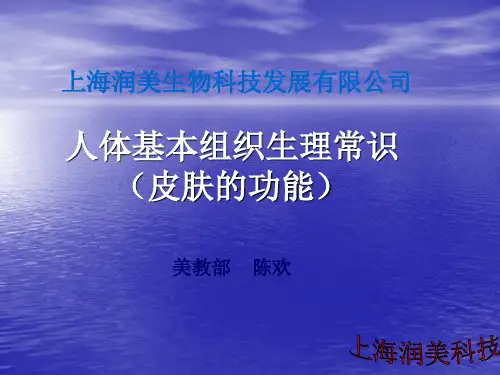 皮肤的功能 PPT课件