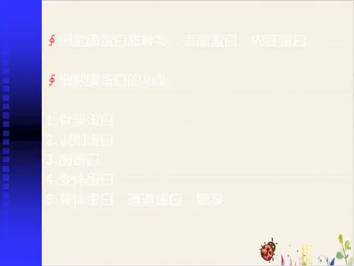 细胞的基本功能PPT.