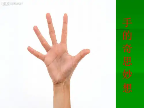 六美术《奇思妙想》课件