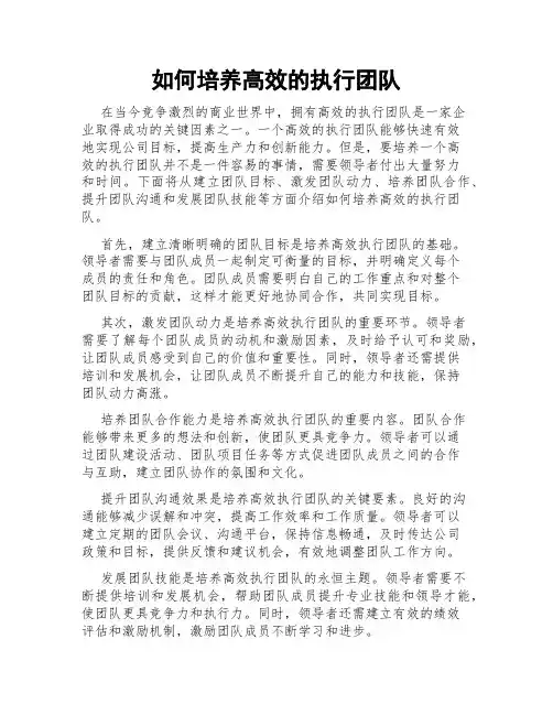 如何培养高效的执行团队