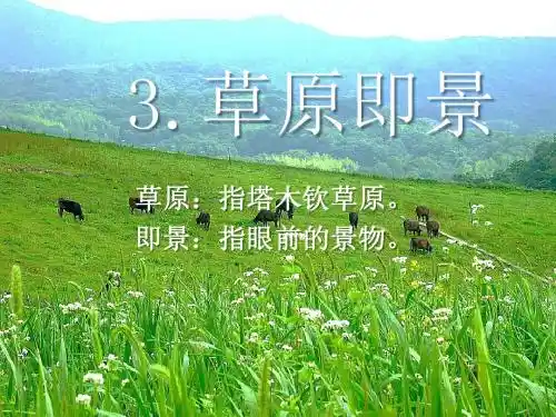 草原即景- 优秀PPT课件2