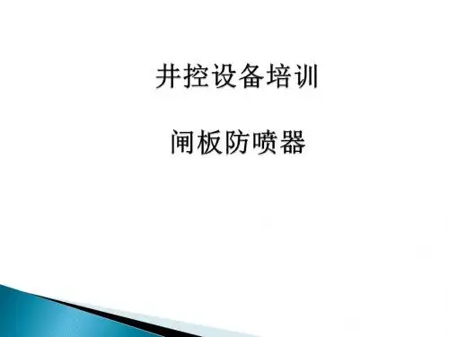 闸板防喷器培训