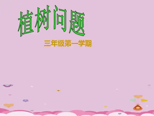 三年级上册数学课件-6.6 整理与提高(数学广场-植树问题)▏沪教版 (共28张PPT)