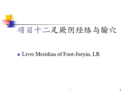 经络学-足厥阴肝经PPT课件