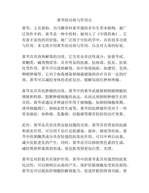 黄芩的功效与作用点