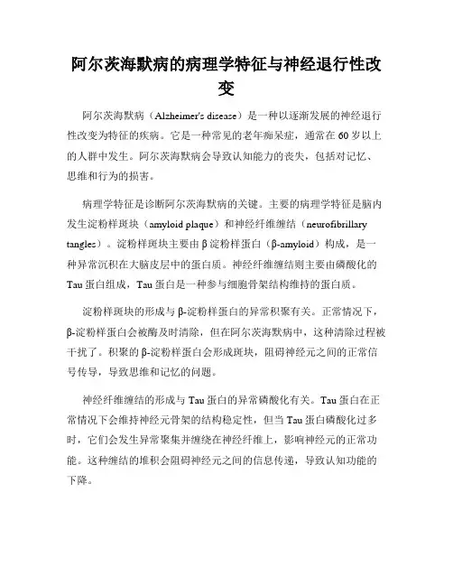 阿尔茨海默病的病理学特征与神经退行性改变