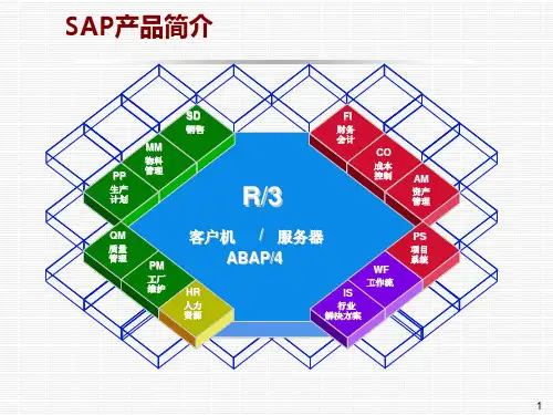 SAP物料管理模块14497