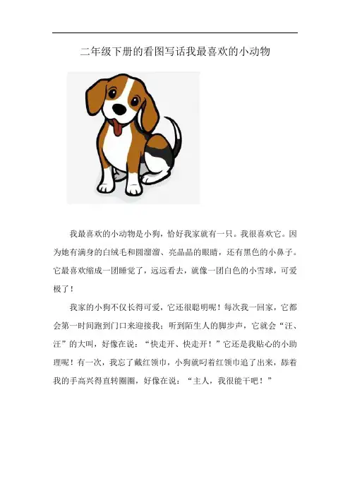 二年级下册的看图写话我最喜欢的小动物