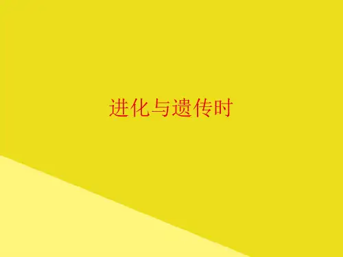 进化与遗传时PPT资料(正式版)