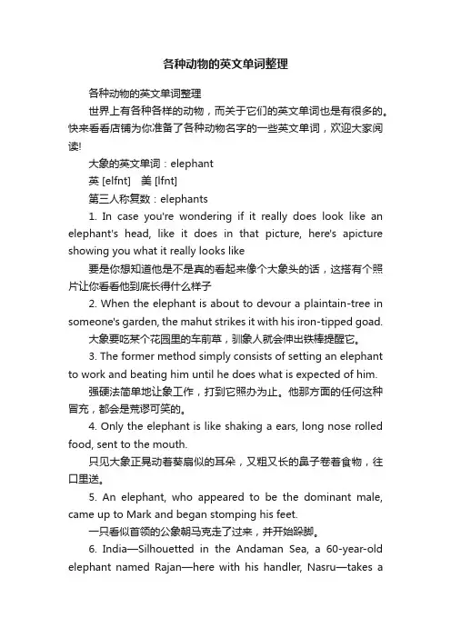 各种动物的英文单词整理