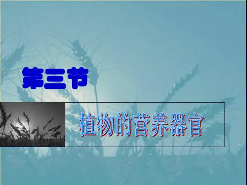 最新六年级科学上册第一章第1课植物的器官和营养2新人教版优选教学课件